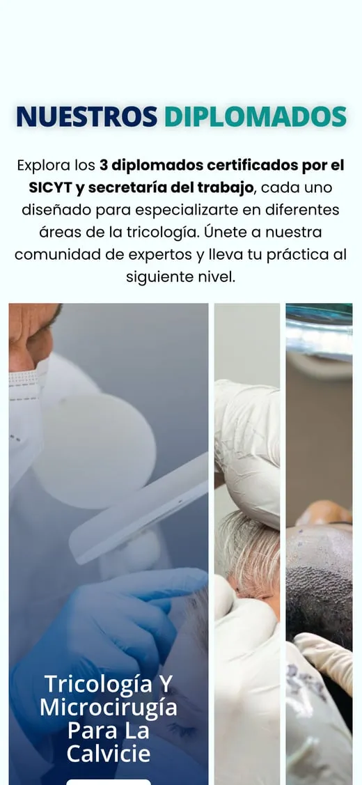 Pantalla del sitio de CETMC