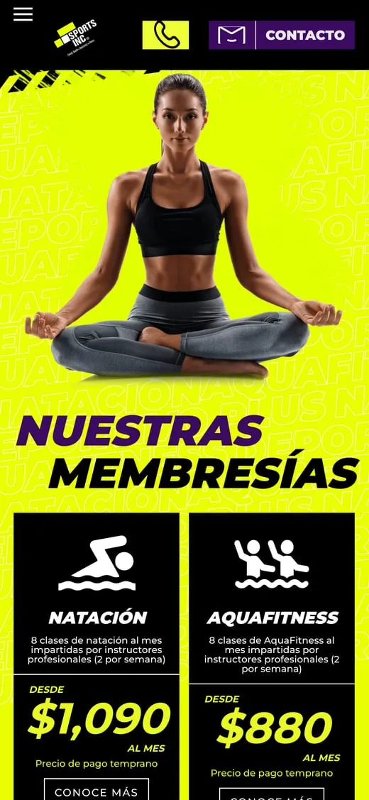 Pantalla del sitio de Sports Inc